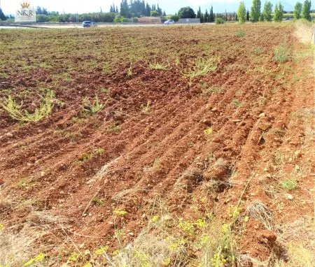 Rural Land - Llubí (Afueras de Llubí), Plot Surface 7500m², Distance to the Sea 14 Km. — photo 4