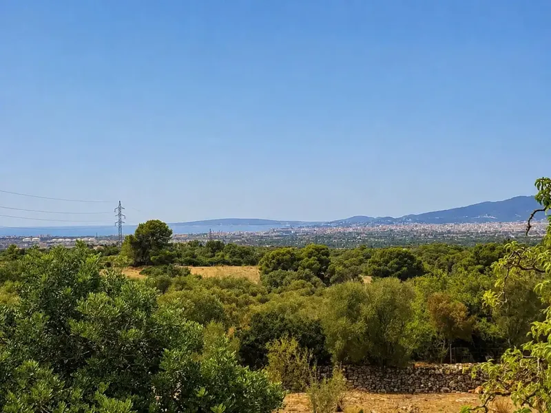 Majorcan finca with more than 6,000 m² in Pòrtol — photo 6
