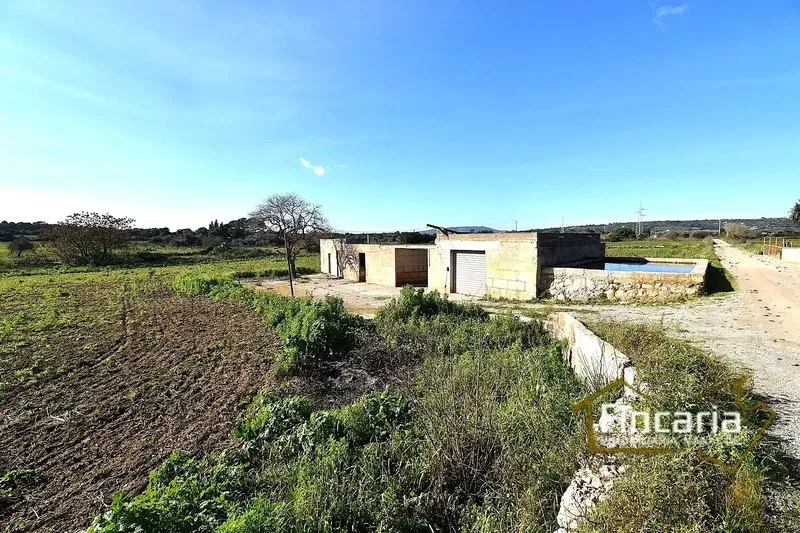 Sensational agricultural warehouse in perfect condition located in the Son Llunes area, 2.5 km from Manacor. Warehouse of 85 m — photo 3