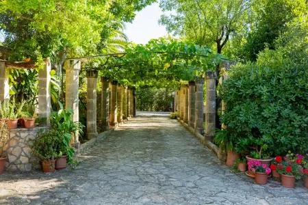 Luxury Villa - Bunyola (Sa Coma 1) — photo 2