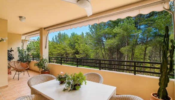 Duplex in Cas Català — photo 1