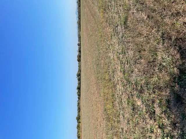 Plot with project in Son Valls — photo 2
