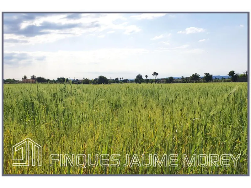 Land — photo 2