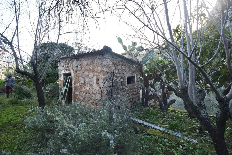 Finca to renovate in a very nice and quiet location in the mountains above Sóller — photo 4