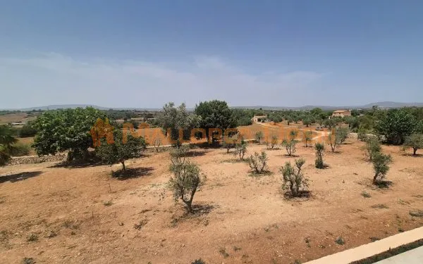 Exclusive brand-new finca for rent 4km from Manacor near Rafa Nadal Academy — photo 4