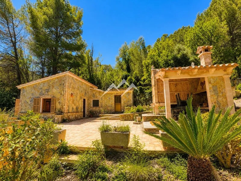 Charming finca just 2 minutes from Puigpunyent — photo 3