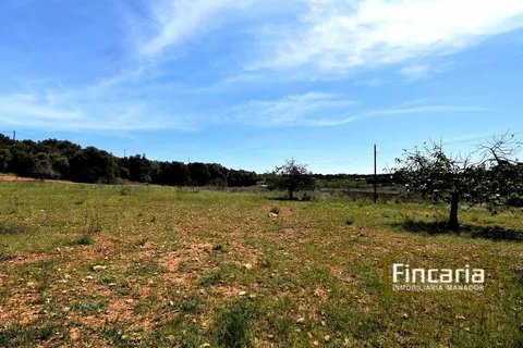 Country house in Sant Llorenc Des Cardassar, Mallorca — photo 9