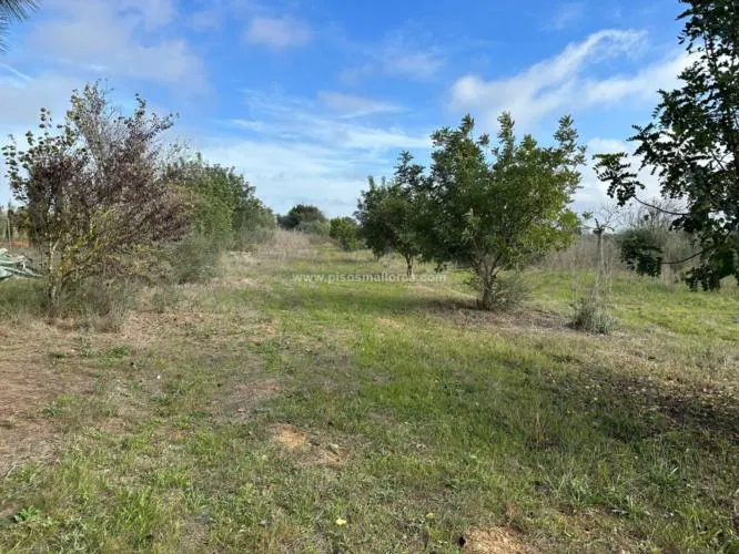 Plot in Santa Maria, Son Llaut Industrial Area — photo 11