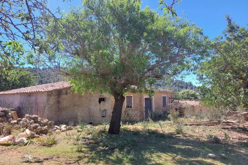 Alaró, finca project in a stunning hill landscape with mountain views near Alaró — photo 1