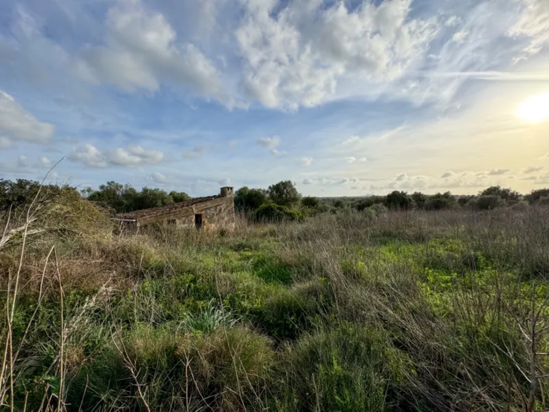 Beautiful rustic building plot with stunning ... — photo 12
