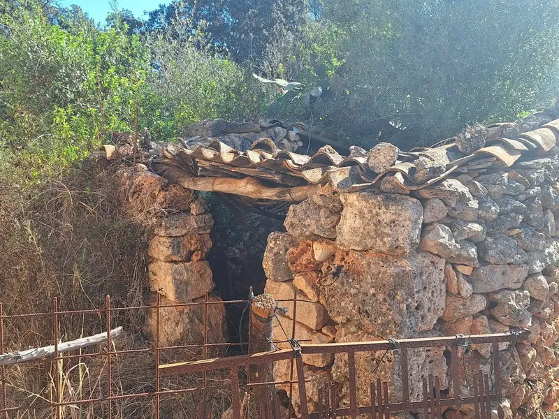 Magnificent estate for sale in an idyllic setting in the municipality of Costitx, five minutes from the village. — photo 3