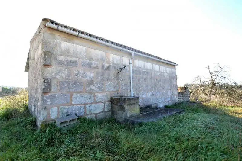 Plot of more than 25000 m2 in Llubí — photo 2