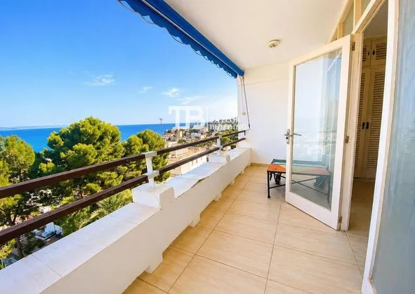 Studio in Calle del Paradís, Sant Agustí, Palma de Mallorca — photo 3