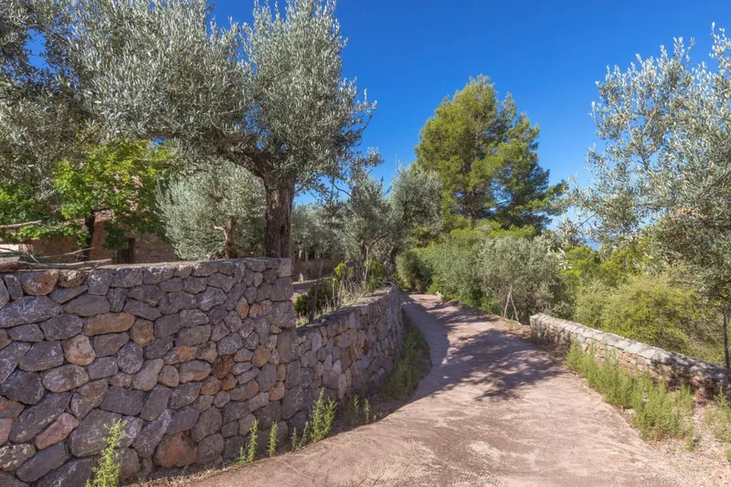 Charming Mountain Cottage with Views and Total Tranquility – Port de Sóller — photo 9
