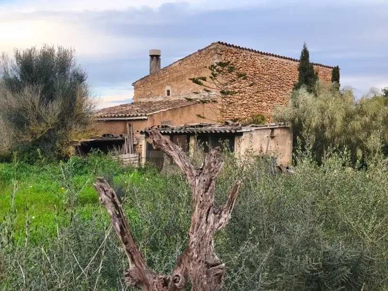 Discover this charming agricultural estate of four cuarteradas, located in a privileged setting with stunning views of the Tramuntana — photo 7