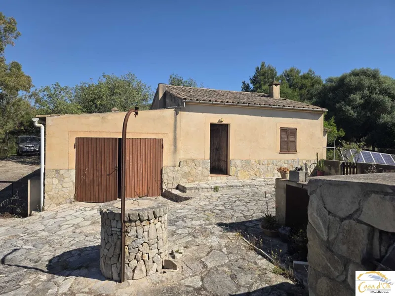 Exclusive natural finca with spectacular mountain panorama and unique building potential near Sant Llorenç des Cardassar — photo 4