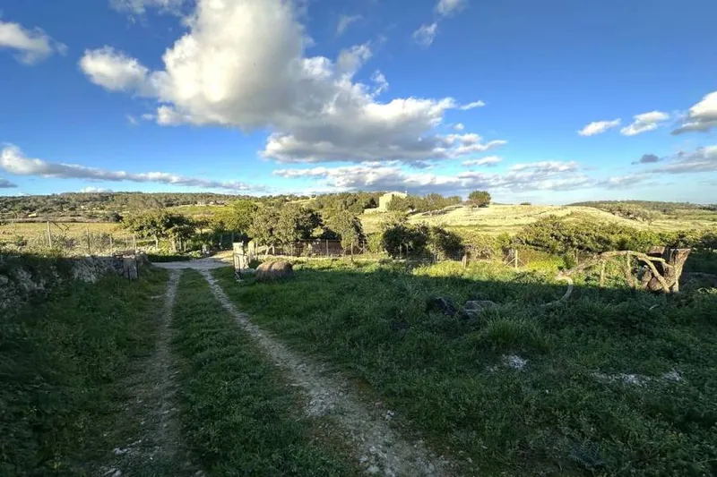 Rural Plot with Existing Building near Montuïri – Small Project with Potential — photo 3