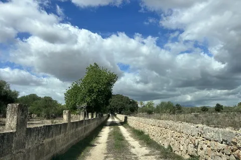 Villa in Costitx, Mallorca — photo 8