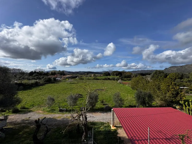 Charming fully renovated Mallorcan finca — photo 7