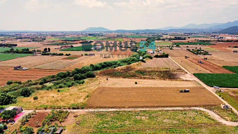 plot in Sa Pobla — photo 2