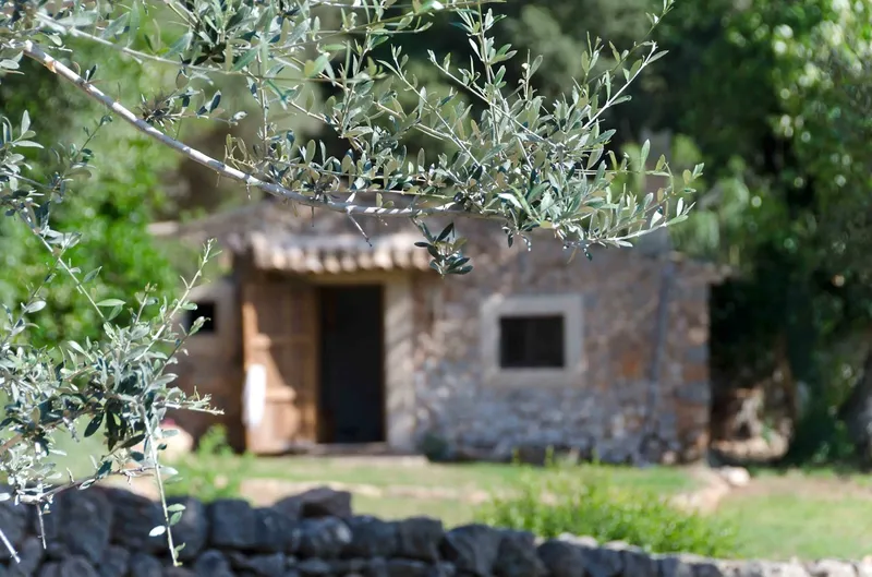 Exclusive Mallorca finca between the Tramuntana and the sea – pure privacy — photo 12