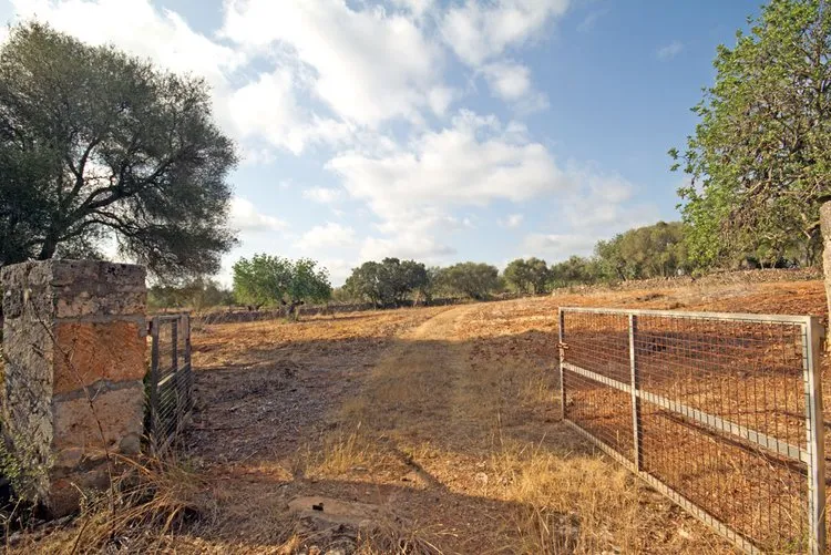 Campos, a large rural estate with potential F02906 — photo 4