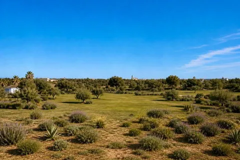 Country house in Ses Salines, Mallorca — photo 5