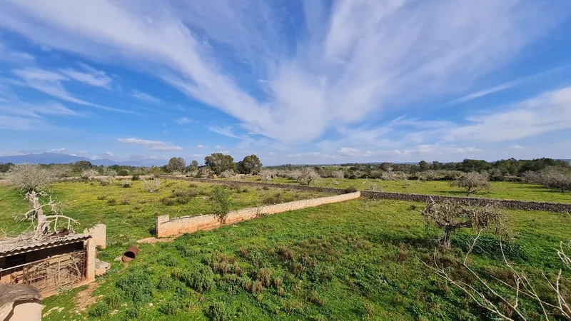 Finca/Country House for sale in Algaida — photo 6