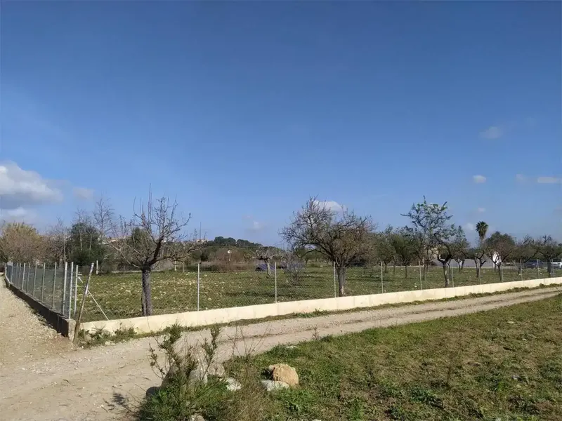 Encantadora Finca Rústica Reformada con Licencia Turística en el Corazón de la Serra de Tramuntana — photo 5