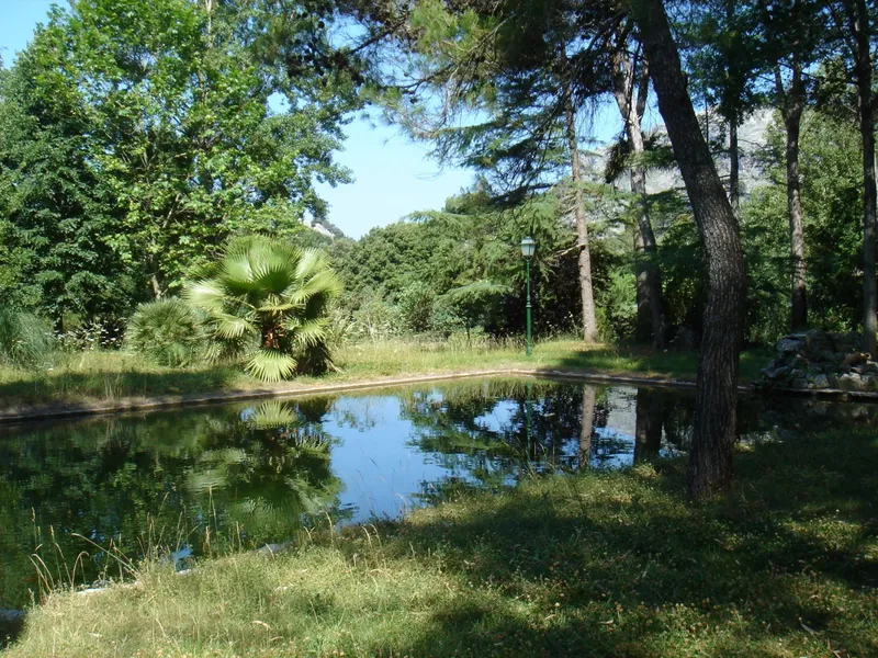 Countryside House in Lluc — photo 11