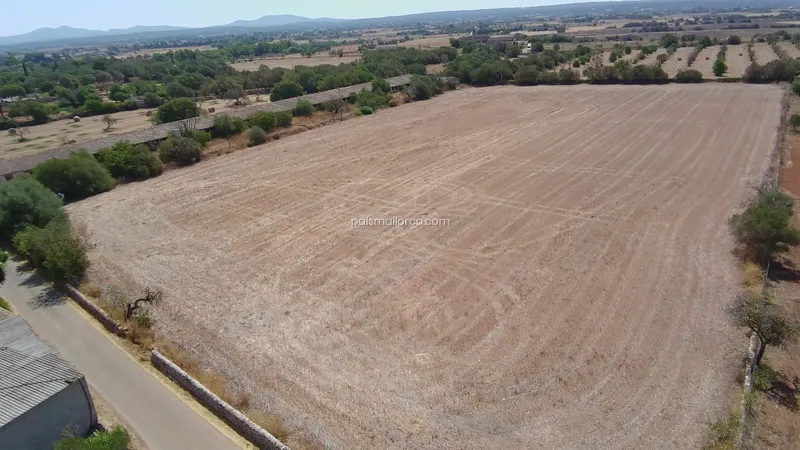 Countryside property in Campos — photo 1