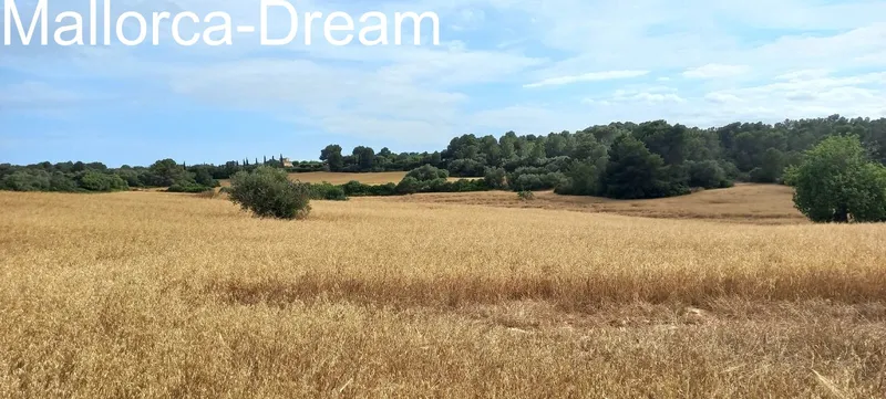 Porto Cristo / Manacor: Dream property with 20,100 m² of land, renovation finca and panoramic views all the way to the sea — photo 6