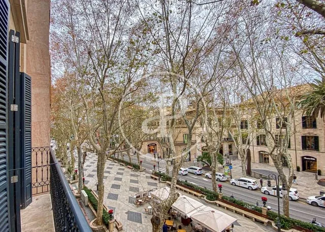 Apartment for rent in La Llotja - Born, Palma de Mallorca — photo 1