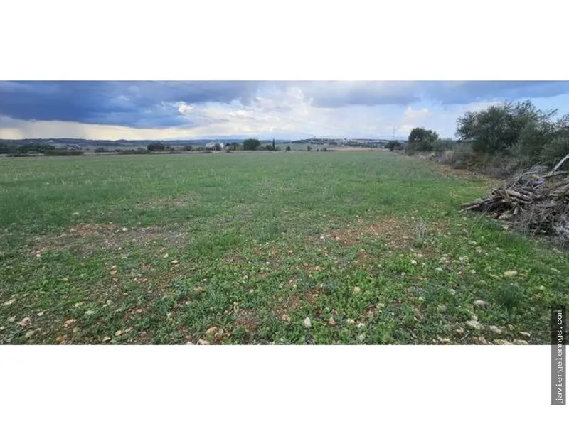 Plot for sale on Camino de Son Reixach s/n — photo 6