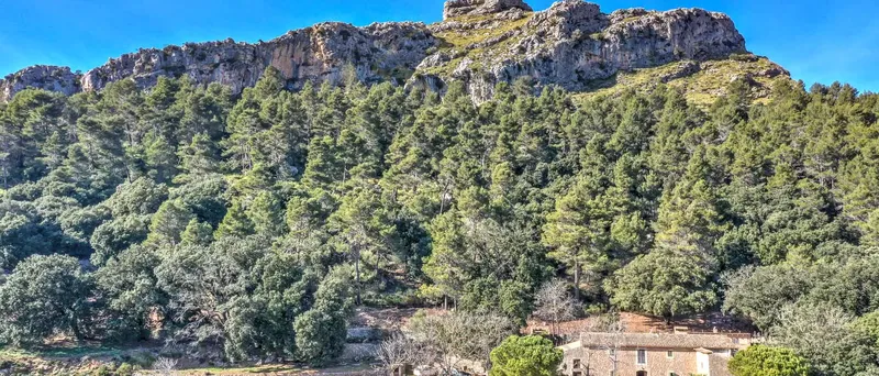 Historic stone finca in Mallorca with panoramic sea views and hunting rights in Escorca — photo 12