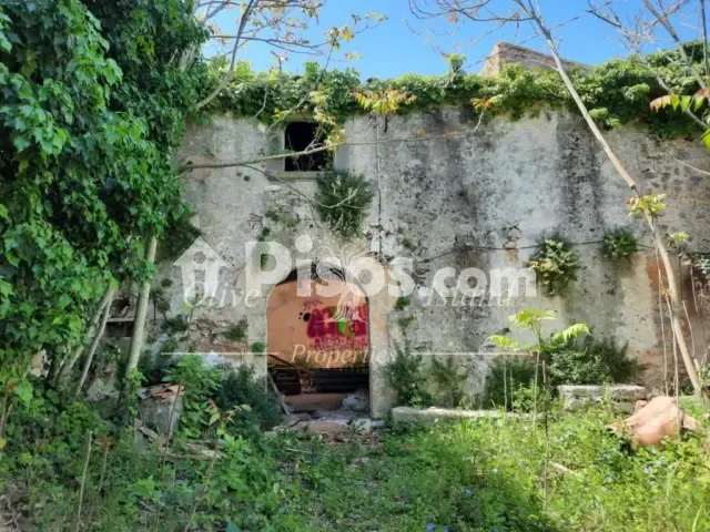 House in Binissalem — photo 1