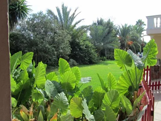 Spectacular Estate in Inca — photo 4