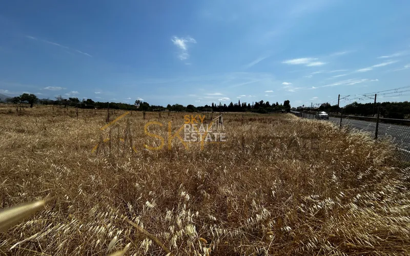 Terreno en venta en Inca — photo 1