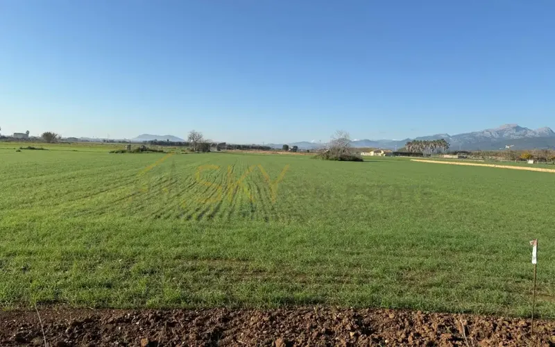 Developable Land in Sa Pobla: Nature and Future — photo 8