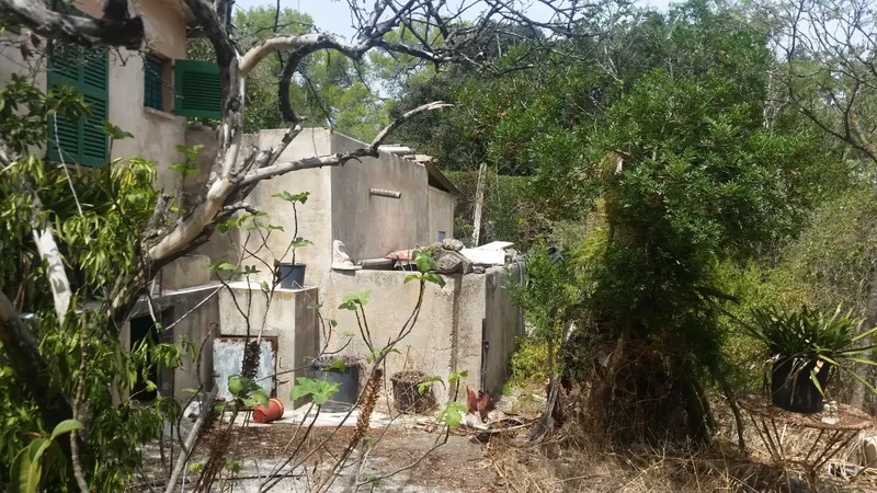 For sale: finca with legalized house, water and electricity — photo 3