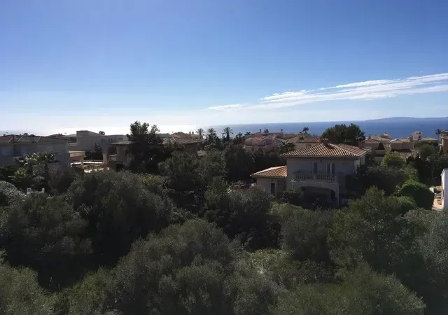 Plot of 1000m2 in Sa Torre, on the south of Mallorca — photo 4