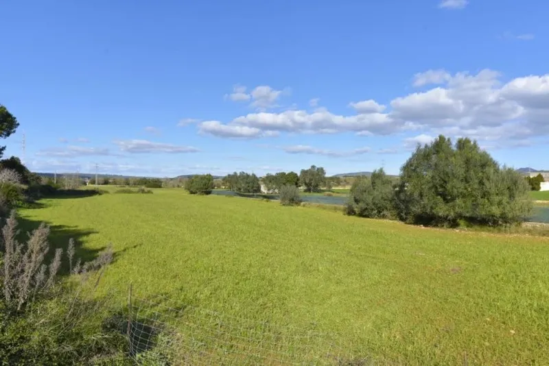 Land for Sale in Manacor — photo 1