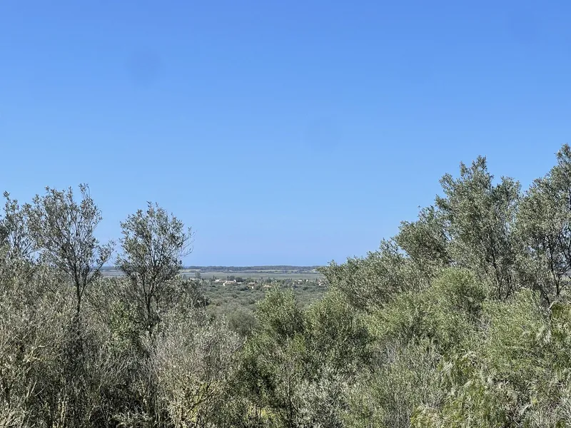 Charming Country House with Panoramic Views and Renovation Potential — photo 5