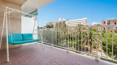 Apartment in Sant Jaume — photo 3