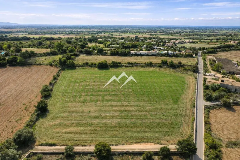 Large Rustic Estate with 172,000 m2 in Manacor — photo 6