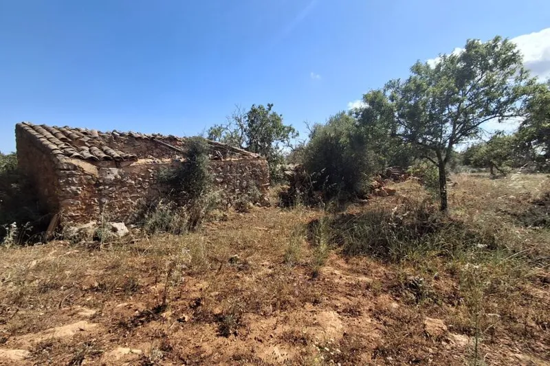 Plot with partial sea views between Cas Concos and Santanyí T 15 — photo 6