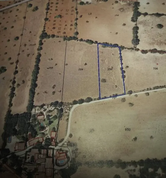 Exclusive building plot just a few minutes from Cas Conc... — photo 6