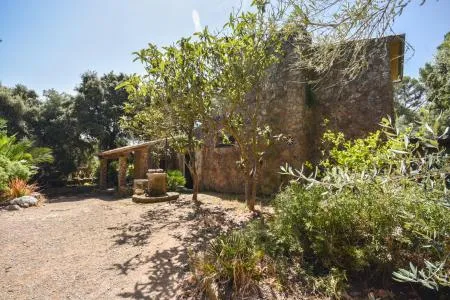 Rustic property - Puigpunyent (Puigpunyent) — photo 4