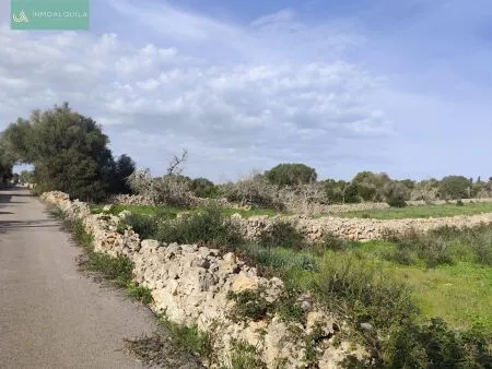 Rustic property - Santa Margalida, Built Surface 50m², Plot Surface 15767m², 1 Room, 1 Bathrooms — photo 5