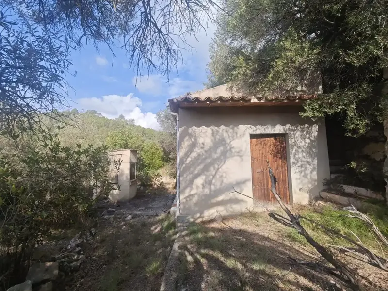 Inser Propiedades exclusively markets a rustic estate with exceptional potential in the municipality of Selva. Located — photo 9